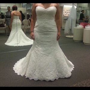 Wedding Gown